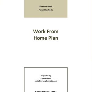 Sample Work From Home Plan Template
