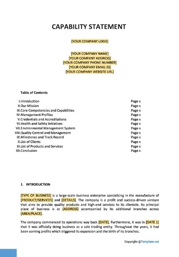 Capability Statement Template