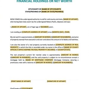 Affidavit of Financial Holdings or Net Worth Template