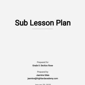 Free Sub Lesson Plan Template