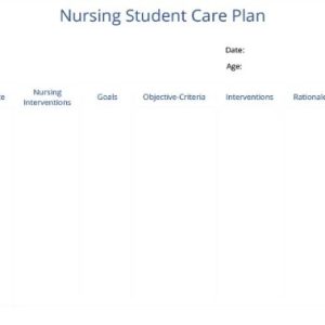 Free Nursing Student Care Plan Template