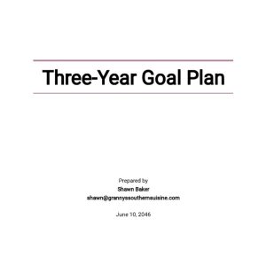 Three Year Goal Plan Template