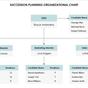 Sample Succession Planning Organizational Chart Template