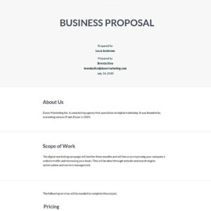 Agency Business Proposal Template