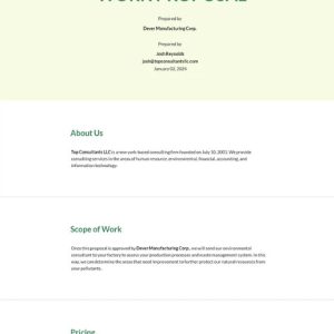 Consulting Work Proposal Template