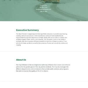 Request for Bid Proposal Template