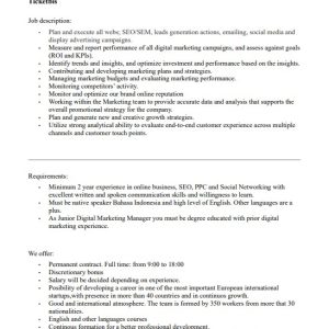 Junior Digital Marketing Manager Job Description Template